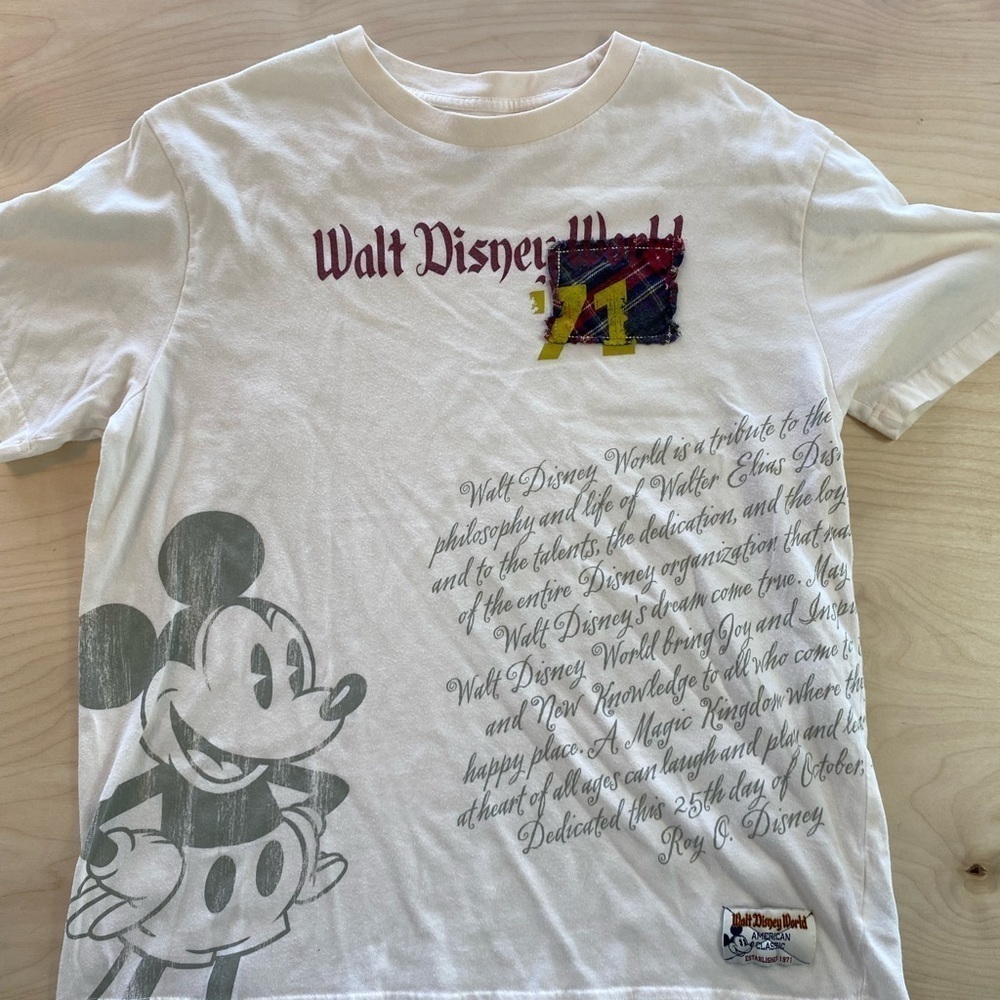 Disneyland Walt Disney World Tee size Medium (AI)